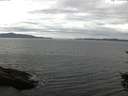 ./images/koeye/fitz-hugh/20150822/fitz-hugh20150822_122103.jpg