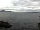 ./images/koeye/fitz-hugh/20150822/fitz-hugh20150822_122402.jpg
