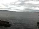 ./images/koeye/fitz-hugh/20150822/fitz-hugh20150822_122703.jpg
