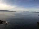 ./images/koeye/fitz-hugh/20150826/fitz-hugh20150826_120003.jpg