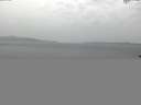 ./images/koeye/fitz-hugh/20150829/fitz-hugh20150829_080001.jpg