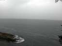 ./images/koeye/fitz-hugh/20150829/fitz-hugh20150829_100002.jpg