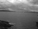 ./images/koeye/fitz-hugh/20150830/fitz-hugh20150830_060002.jpg