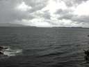 ./images/koeye/fitz-hugh/20150830/fitz-hugh20150830_121802.jpg