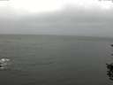 ./images/koeye/fitz-hugh/20150830/fitz-hugh20150830_160001.jpg