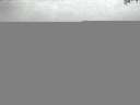 ./images/koeye/fitz-hugh/20150831/fitz-hugh20150831_060002.jpg