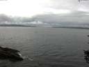 ./images/koeye/fitz-hugh/20150902/fitz-hugh20150902_121502.jpg