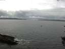 ./images/koeye/fitz-hugh/20150902/fitz-hugh20150902_121802.jpg