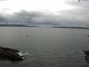 ./images/koeye/fitz-hugh/20150902/fitz-hugh20150902_122403.jpg