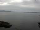 ./images/koeye/fitz-hugh/20150905/fitz-hugh20150905_121503.jpg