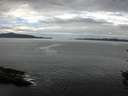 ./images/koeye/fitz-hugh/20150906/fitz-hugh20150906_120003.jpg