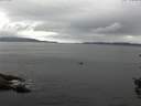 ./images/koeye/fitz-hugh/20150907/fitz-hugh20150907_122403.jpg