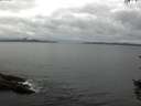 ./images/koeye/fitz-hugh/20150908/fitz-hugh20150908_080001.jpg