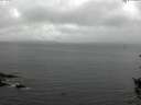 ./images/koeye/fitz-hugh/20150908/fitz-hugh20150908_120002.jpg