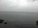 ./images/koeye/fitz-hugh/20150908/fitz-hugh20150908_121802.jpg