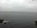 ./images/koeye/fitz-hugh/20150908/fitz-hugh20150908_122102.jpg