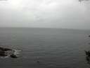 ./images/koeye/fitz-hugh/20150908/fitz-hugh20150908_122702.jpg