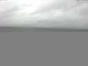 ./images/koeye/fitz-hugh/20150909/fitz-hugh20150909_080002.jpg