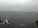 ./images/koeye/fitz-hugh/20150909/fitz-hugh20150909_121502.jpg