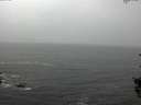 ./images/koeye/fitz-hugh/20150909/fitz-hugh20150909_122402.jpg