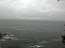 ./images/koeye/fitz-hugh/20150909/fitz-hugh20150909_122702.jpg