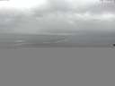 ./images/koeye/fitz-hugh/20150909/fitz-hugh20150909_140002.jpg