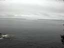 ./images/koeye/fitz-hugh/20150911/fitz-hugh20150911_120003.jpg