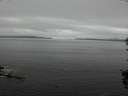 ./images/koeye/fitz-hugh/20150911/fitz-hugh20150911_122402.jpg