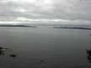 ./images/koeye/fitz-hugh/20150911/fitz-hugh20150911_140002.jpg