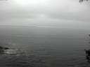 ./images/koeye/fitz-hugh/20150912/fitz-hugh20150912_122703.jpg