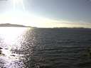 ./images/koeye/fitz-hugh/20150914/fitz-hugh20150914_160002.jpg