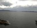 ./images/koeye/fitz-hugh/20150918/fitz-hugh20150918_122402.jpg
