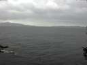 ./images/koeye/fitz-hugh/20150918/fitz-hugh20150918_143002.jpg