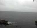 ./images/koeye/fitz-hugh/20150919/fitz-hugh20150919_120003.jpg