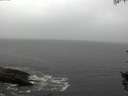 ./images/koeye/fitz-hugh/20150919/fitz-hugh20150919_121502.jpg