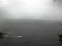 ./images/koeye/fitz-hugh/20150919/fitz-hugh20150919_140003.jpg