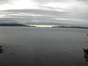 ./images/koeye/fitz-hugh/20150919/fitz-hugh20150919_180002.jpg