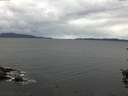 ./images/koeye/fitz-hugh/20150922/fitz-hugh20150922_100002.jpg