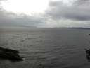 ./images/koeye/fitz-hugh/20150922/fitz-hugh20150922_140002.jpg