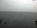 ./images/koeye/fitz-hugh/20150923/fitz-hugh20150923_100002.jpg
