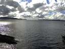 ./images/koeye/fitz-hugh/20150923/fitz-hugh20150923_160002.jpg