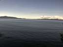 ./images/koeye/fitz-hugh/20150928/fitz-hugh20150928_122103.jpg