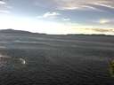 ./images/koeye/fitz-hugh/20150928/fitz-hugh20150928_140003.jpg