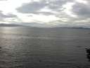 ./images/koeye/fitz-hugh/20150929/fitz-hugh20150929_160002.jpg