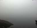 ./images/koeye/fitz-hugh/20150930/fitz-hugh20150930_080002.jpg
