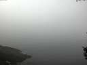 ./images/koeye/fitz-hugh/20150930/fitz-hugh20150930_100002.jpg