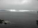 ./images/koeye/fitz-hugh/20150930/fitz-hugh20150930_121801.jpg