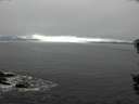 ./images/koeye/fitz-hugh/20150930/fitz-hugh20150930_122103.jpg