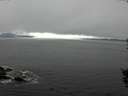 ./images/koeye/fitz-hugh/20150930/fitz-hugh20150930_122402.jpg