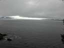 ./images/koeye/fitz-hugh/20150930/fitz-hugh20150930_122702.jpg